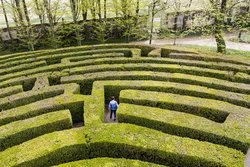Academic gets lost in a maze